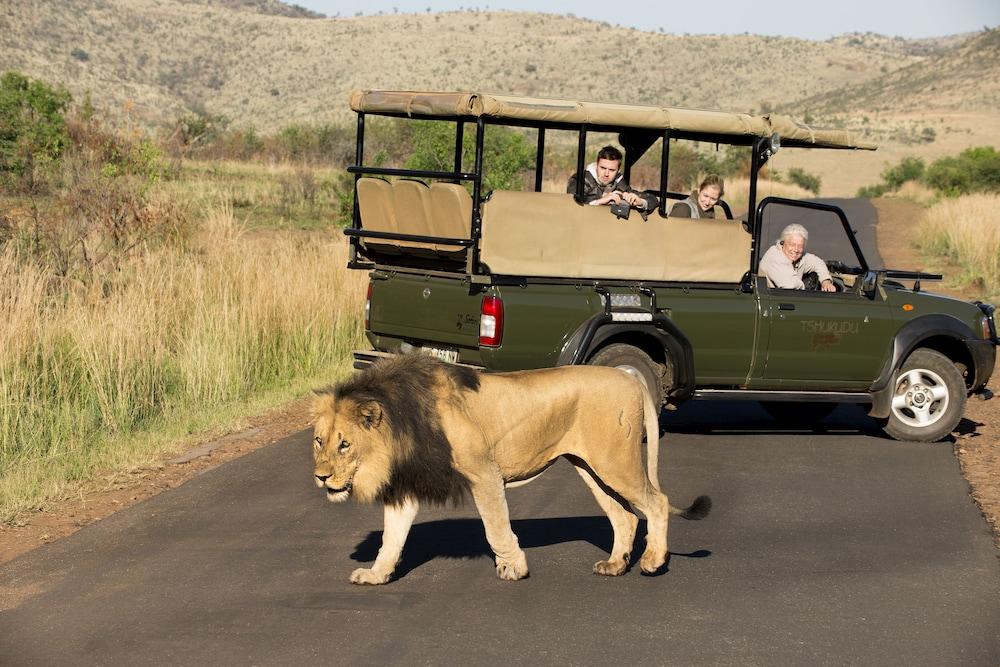 Tshukudu Bush Lodge Ledig Kültér fotó