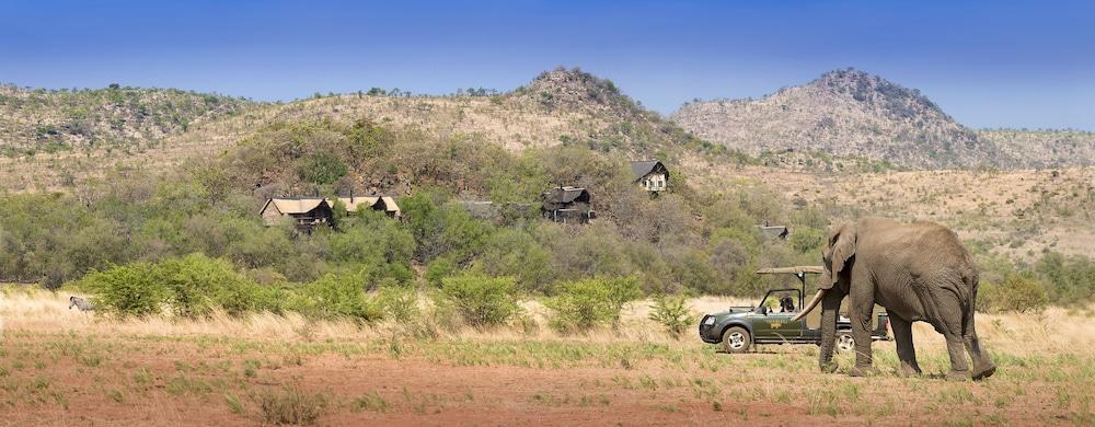 Tshukudu Bush Lodge Ledig Kültér fotó